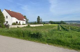 Grundstück zu kaufen in Gartengasse 43, 7061 Trausdorf an der Wulka, ruhiger 800m2 Baugrund bei Eisenstadt