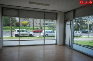 Büro zu mieten in Muldenstraße, 4020 Linz, Geschäfts-/Büro-/Ordinationsfläche mit XL-Schaufenstern u. mit Umsatzpotential - 1A Preis-/Leistung, direkt neben dem (Vital-)Zentrum Muldenstraße!
