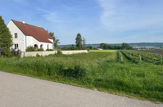 Grundstück zu kaufen in Gartengasse 43, 7061 Trausdorf an der Wulka, ruhiger 800m2 Baugrund bei Eisenstadt