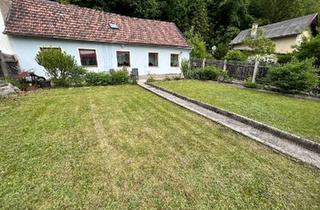 Einfamilienhaus kaufen in 2640 Gloggnitz, Kleines leistbares Einfamilienhaus mit vielen Besonderheiten