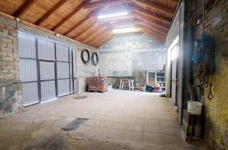 Bauernhäuser zu kaufen in 7151 Wallern im Burgenland, Charmantes Bauernhaus mit großem Stadl und Nebengebäuden in Wallern (Burgenland) zu verkaufen