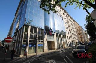 Büro zu mieten in Kolingasse, 1090 Wien, Geschäftsfläche mit offenem Grundriss in 1090 Wien zu mieten