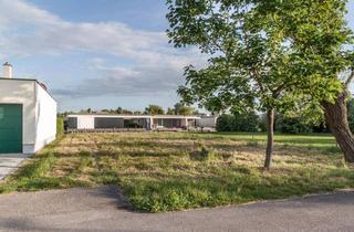 Grundstück zu kaufen in 7100 Neusiedl am See, Unbebautes Grundstück im Segelhafen West in Neusiedl am See