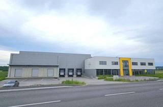 Lager kaufen in Im Südpark, 4030 Linz, Gewerbeobjekt - 4030 Linz, Im Südpark