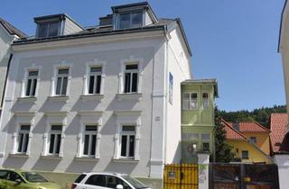 Wohnung kaufen in 3340 Waidhofen an der Ybbs, Jahrhundertwende-Hausanteil mit Gartenbereich