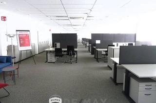 Büro zu mieten in 2100 Leobendorf, "Großraumbüro plus 3 Einzelbüros, sowie 15 Parkplätze - Leobendorf - Nähe A22/S1"