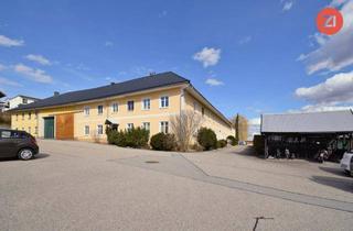Wohnung mieten in Dambach 1a, 4501 Neuhofen an der Krems, Gemütlicher Rückzugsort im ehemaligen Bauernhof - 2- Zimmer Wohnung mit Garten in Neuhofen