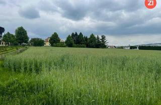 Grundstück zu kaufen in Kapellenstraße, 4061 Pasching, Traumhaftes Baugrundstück in zentraler Paschinger Aussichtslage