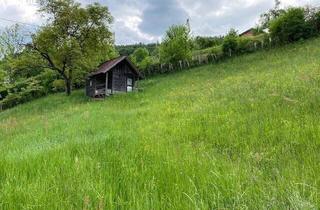 Grundstück zu kaufen in 8160 Naas, Schönes Baugrundstück Nähe Weiz