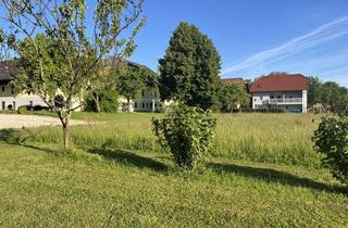 Grundstück zu kaufen in 4693 Desselbrunn, Wohnen im Grünen - Baugrundstück in idyllischer Lage