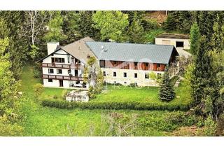 Haus kaufen in Hohenau, 8241 Dechantskirchen, Ein Ort der Ruhe und Möglichkeiten – Vielseitige Liegenschaft in Traumlage