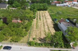 Grundstück zu kaufen in 3500 Krems an der Donau, Attrakives Baugrundstück in Krems-Gneixendorf