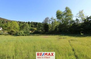 Grundstück zu kaufen in 9081 Reifnitz, Baugrundstück mit See-Nähe und vielseitigen Nutzungsmöglichkeiten