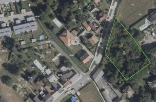 Grundstück zu kaufen in Neustiftgasse 3, 2193 Wilfersdorf, TOP ! Sehr schönes Baugrundstück in Siedlungslage - MISTELBACH/WILFERSDORF - PROVISIONSFREI für den Käufer!