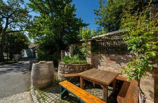 Einfamilienhaus kaufen in 2162 Falkenstein, Traumhaftes Einfamilienhaus mit Vinothek im Herzen des Weinviertels