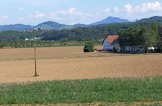 Grundstück zu kaufen in 4522 Sierning, Fernblick garantiert! - Hangbaugrundstück mit Baumbestand aufgeschlossen
