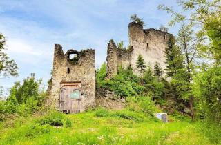 Gewerbeimmobilie kaufen in 8713 Sankt Stefan ob Leoben, Historische Burgruine mit über 7 Hektar Wald – Einzigartige Liegenschaft mit Potenzial