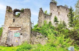 Gewerbeimmobilie kaufen in 8713 Sankt Stefan ob Leoben, Historische Burgruine mit über 7 Hektar Wald – Einzigartige Liegenschaft mit Potenzial