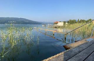 Grundstück zu kaufen in 9201 Krumpendorf, Seegrundstück mit Altbestand direkt am Wörthersee-Nordufer