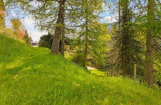 Grundstück zu kaufen in 9546 Kleinkirchheim, Attraktives Baugrundstück für touristisch-gewerbliche Nutzung in Bad Kleinkirchheim