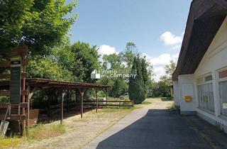 Grundstück zu kaufen in 7161 Sankt Andrä am Zicksee, Grundstück am Zicksee im Burgenland