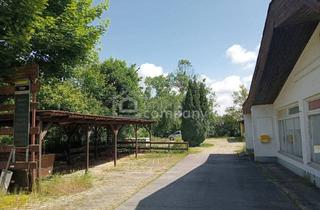 Grundstück zu kaufen in 7161 Sankt Andrä am Zicksee, Grundstück am Zicksee im Burgenland