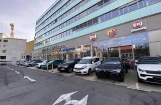 Büro zu mieten in Grünbergstraße, 1120 Wien, Attraktiver Showroom am Schönbrunner Schlosspark in 1120 Wien zu mieten