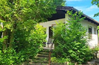 Haus kaufen in 2723 Muthmannsdorf, 2723 Muthmannsdorf - Bungalow in idyllische Grünruhelage