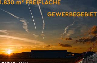 Immobilie mieten in 2512 Tribuswinkel, 1.830 m² Freifläche = Gewerbegebiet