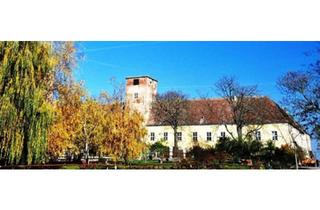 Lager kaufen in Liechtensteinstr. 1, 2272 Ringelsdorf, Reitgut Schloß Niederabsdorf