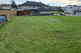Grundstück zu kaufen in Hofkirchen, 4351 Saxen, Provisionsfreies Baugrundstück ohne Bauzwang in 4351 Saxen (Perg)