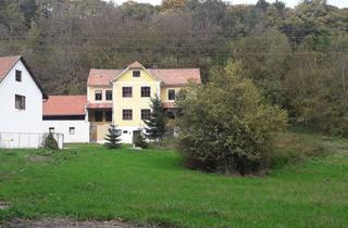 Lager kaufen in 2833 Michelbach, Bauernhaus Ferienwohnsitz mit Grünland - Preis Reduziert