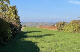 Grundstück zu kaufen in 3491 Straß im Straßertale, Traumhaftes Grundstück in Straß im Straßertale