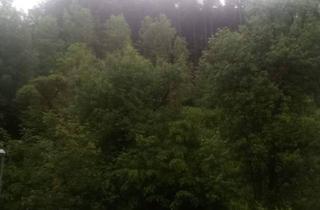 Immobilie mieten in 2840 Grimmenstein, 1 Zimmer mitten in der Natur, autark, ca 1 Stunde südlich von Wien