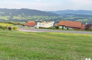 Grundstück zu kaufen in 6934 Sulzberg, Grundstück mit einmaliger Aussichtslage!