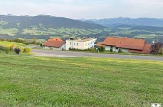 Grundstück zu kaufen in 6934 Sulzberg, Grundstück mit einmaliger Aussichtslage!