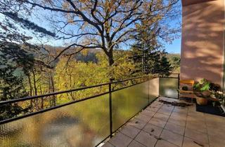 Loft mieten in 1180 Wien, PÖTZLEINSDORFER PARK - NEU SANIERT - LOFTARTIGE ARCHITEKTENWOHNUNG - TRAUMHAFTE LAGE - GRÜNBLICK - 4 ZIMMER + grosser BALKON