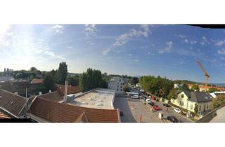Loft mieten in Ketzergasse, 1230 Wien, SONNIGE TERRASSEWOHNUNG - 3 ZIMMER GARTENMITBENÜTZUNG - U6 SIEBENHIRTEN - UNBEFRISTET