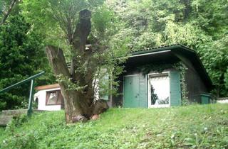 Wohnung mieten in Kammerjoch 47, 3400 Klosterneuburg, EINMALIGE Gelegenheit -Charmantes Haus mit Ausblick