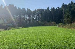 Grundstück zu kaufen in Zeierlingerstrasse 12a, 8523 Zeierling, Attraktiv gelegener, sonniger Baugrund Marktgemeinde Frauental a. d. L.