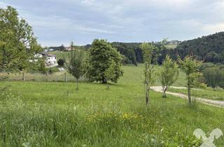 Grundstück zu kaufen in 8076 Vasoldsberg, Baugrundstück in sonniger Ruhe- und Aussichtslage Laßnitzhöhe!