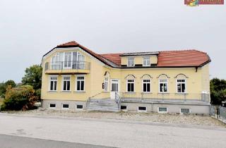 Mehrfamilienhaus kaufen in Erlenweg, 2751 Steinabrückl, Großzügiges Mehrfamilienhaus in sehr guter Lage.