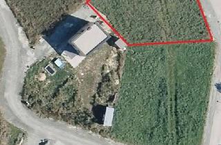 Grundstück zu kaufen in Panoramastraße, 2851 Krumbach, Traumhaftes Baugrundstück in Krumbach – der Platz für Ihr Eigenheim für nur 99.000 €!