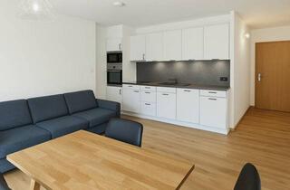 Wohnung mieten in 6713 Ludesch, Moderne 2-Zimmer-Wohnung in Bludenz-Ludesch. Voll möbliert & Betriebskosten inklusive!
