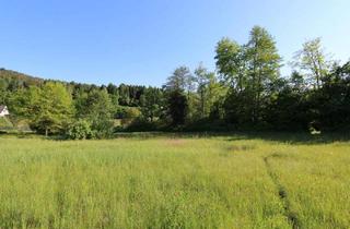 Grundstück zu kaufen in 9081 Reifnitz, Baugrundstück mit See-Nähe und vielseitigen Nutzungsmöglichkeiten