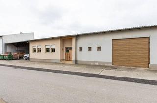 Lager kaufen in 7151 Wallern im Burgenland, Startklar: Halle mit Büro - Für Werkstatt, Lager, Produktion