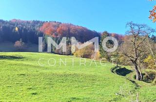 Immobilie kaufen in 3283 Sankt Anton an der Jeßnitz, 17,33 ha Landwirtschaftliche Fläche - Wiese - Weide - Wald mit Quellen und Wasserzugang