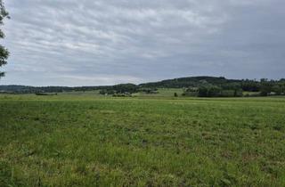 Grundstück zu kaufen in 4070 Fraham, Landwirtschaftlicher Nutzgrund Acker Fraham