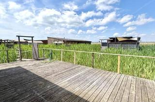 Haus mieten in 7121 Weiden am See, Pfahlbau zur Miete in Weiden am See - Strandbadsiedlung