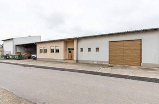 Gewerbeimmobilie kaufen in 7151 Wallern im Burgenland, Startklar: Halle mit Büro – Für Werkstatt, Lager, Produktion